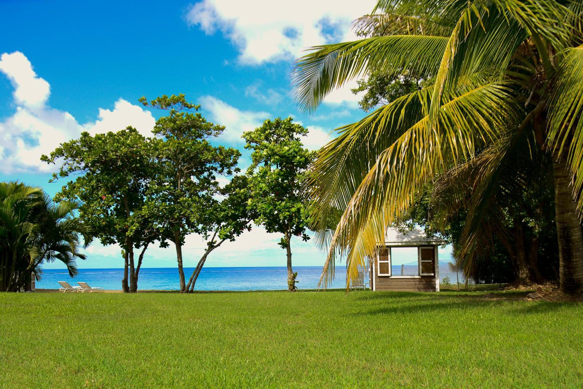Montpelier Plantation & Beach Charlestown Eksteriør bilde